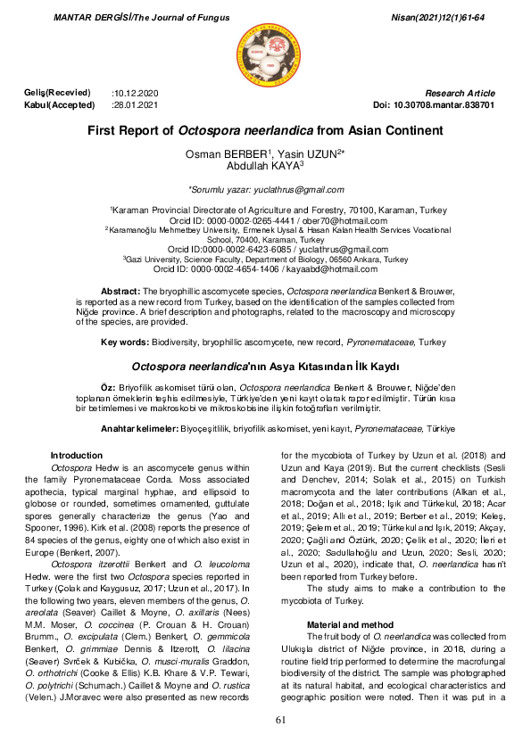 First page of “Octospora neerlandica&#039;nın Asya Kıtasından İlk Kaydı”