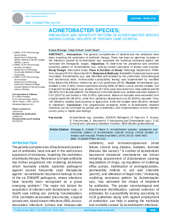 First page of “Acinetobacter Species”