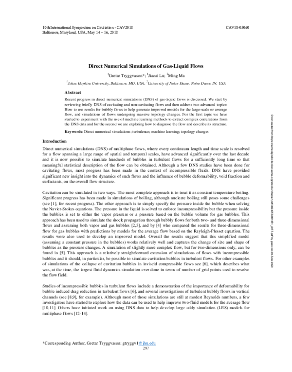 First page of “Direct Numerical Simulations of Gas-Liquid Flows”