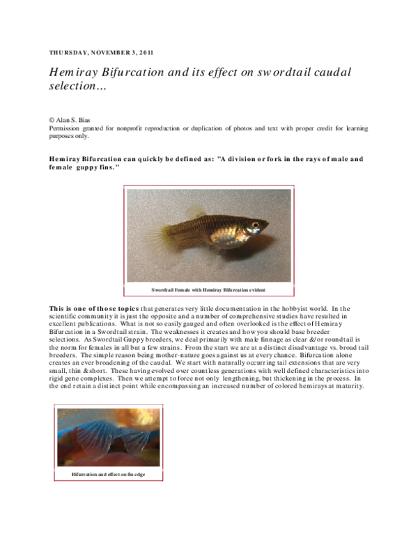 First page of “Hemiray Bifurcation and its effect on swordtail caudal selection”