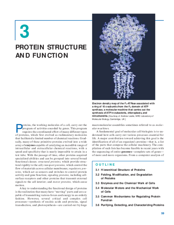 First page of “PROTEIN STRUCTURE and function”