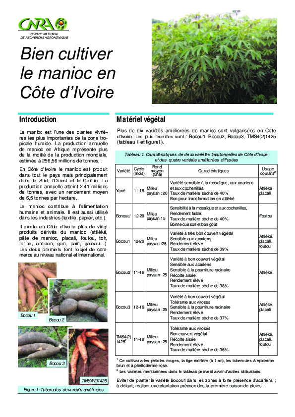 First page of “Ftec manioc 2013”