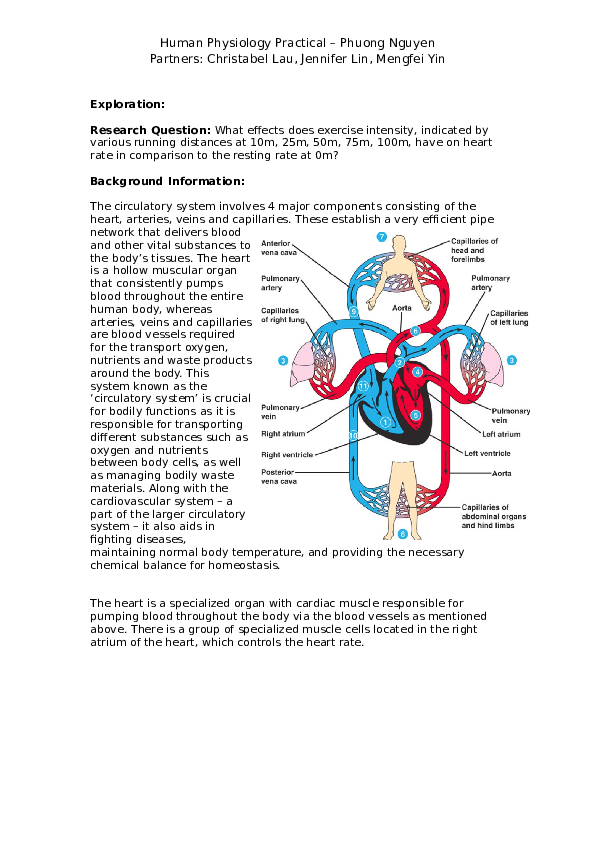 First page of “Human Physiology Practical - Phuong Nguyen”