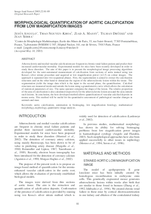 First page of “MORPHOLOGICAL QUANTIFICATION OF AORTIC CALCIFICATION FROM LOW MAGNIFICATION IMAGES”