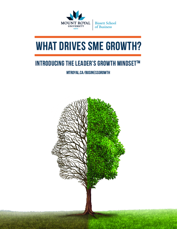 First page of “What Drives SME Growth? Introducing the Leader's Growth Mindset”