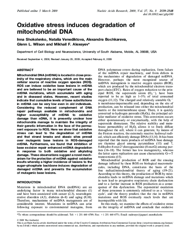 First page of “Oxidative stress induces degradation of mitochondrial DNA”