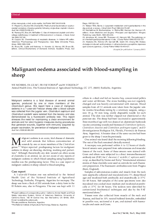 First page of “Malignant oedema associated with blood-sampling in sheep”