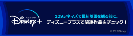 今なら年額プランが1年目最大33％OFF