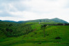 Yangmingshan National Park, Taiwan
Download here