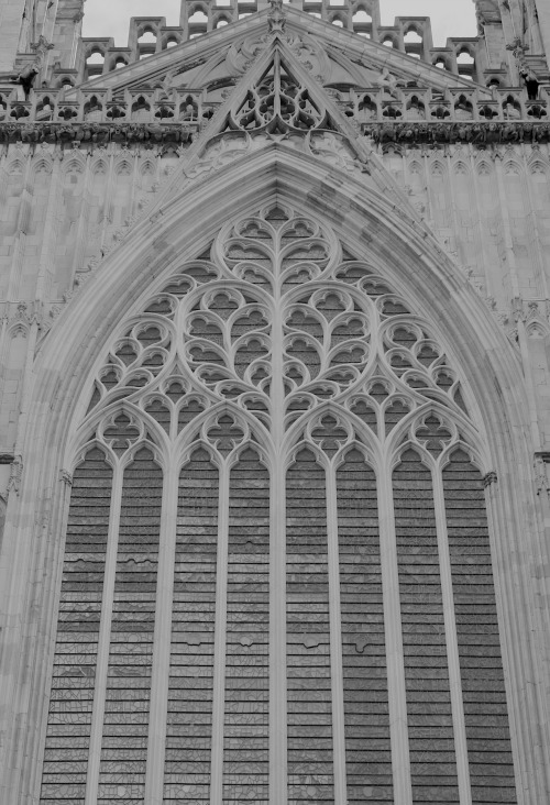 starksren:
“ York Minster, 13.09.15
”