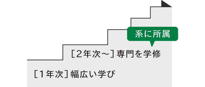 1年次：幅広い学び、2年次～：系に所属。専門を学修