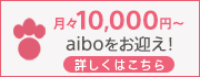 aiboをお迎え詳しくはこちら