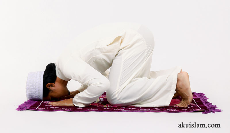 Kedudukan atau posisi yang betul ketika sujud dalam solat