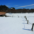 偕楽園・四季の原 〜冬