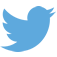 Twitter_logo_blue