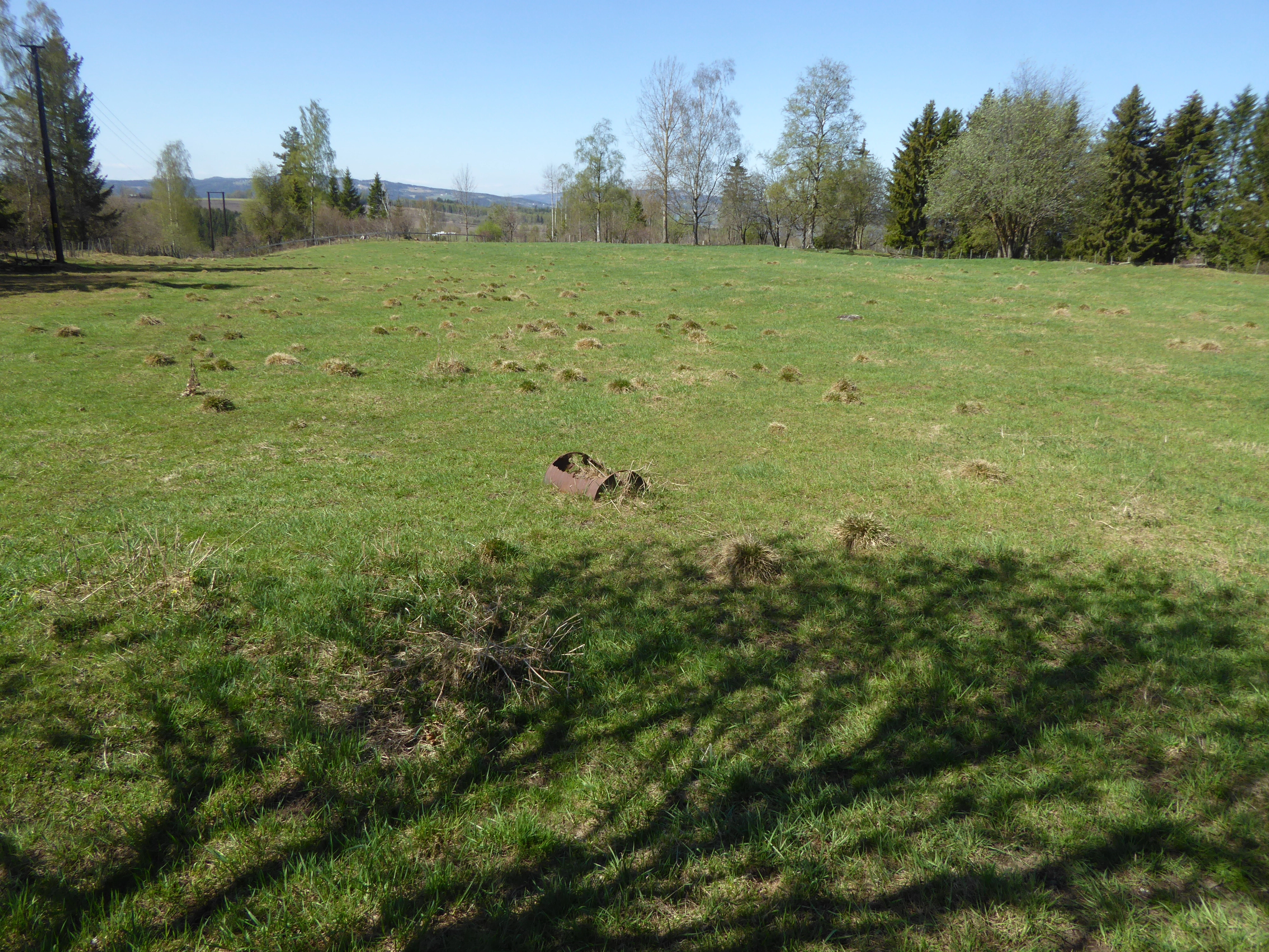 T45-C-2 oppdyrket intensiv slåtteeng.