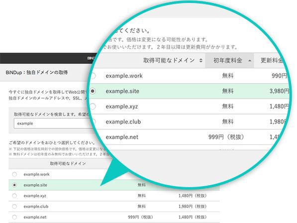 ウェブ制作サービス「BiNDup」独自ドメイン取得サービス開始