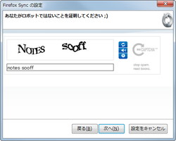 5. 最後にCAPTCHAを入力すれば設定は完了