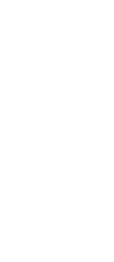 BT