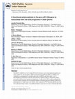 Research paper thumbnail of A functional polymorphism in the pre-miR-146a gene is associated with risk and prognosis in adult glioma