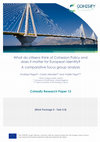 Research paper thumbnail of What Do Citizens Think Of Cohesion Policy And Does It Matter For European Identity? A Comparative Focus Group Analysis