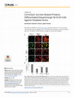 Research paper thumbnail of Correction: Survivin Mutant Protects Differentiated Dopaminergic SK-N-SH Cells Against Oxidative Stress