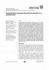 Research paper thumbnail of Snowmelt-driven macropore flow and soil saturation in a semiarid forest