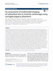 Research paper thumbnail of An assessment of multimodal imaging of subsurface text in mummy cartonnage using surrogate papyrus phantoms