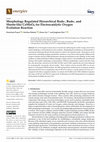 Research paper thumbnail of Morphology Regulated Hierarchical Rods-, Buds-, and Sheets-like CoMoO4 for Electrocatalytic Oxygen Evolution Reaction