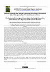 Research paper thumbnail of Analisis Usahatani dan Saluran Pemasaran Biji Kakao di Kecamatan Juhar Kabupaten Karo Provinsi Sumatera Utara