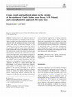 Research paper thumbnail of Crops, weeds and gathered plants in the vicinity of the mediaeval Castle Kolno, near Brzeg, S-W Poland, and a morphometric approach for some taxa