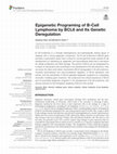 Research paper thumbnail of Epigenetic Programing of B-Cell Lymphoma by BCL6 and Its Genetic Deregulation