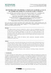 Research paper thumbnail of RECONSTRUCCIÓN VOLUMÉTRICA Y PUESTA EN VALOR DE LA CASA M DE COIMBRA DEL BARRANCO ANCHO DE JUMILLA (MURCIA) VOLUMETRIC RECONSTRUCTION AND ENHANCEMENT OF "COIMBRA DEL BARRANCO ANCHO'S HOUSE M" FROM JUMILLA (MURCIA)