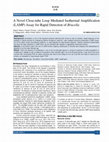 Research paper thumbnail of A Novel Close-tube Loop Mediated Isothermal Amplification (LAMP) Assay for Rapid Detection of Brucella