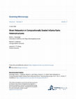 Research paper thumbnail of Strain Relaxation in Compositionally Graded InGaAs/GaAs Heterostructures