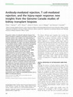 Research paper thumbnail of Antibody-mediated rejection, T cell–mediated rejection, and the injury-repair response: new insights from the Genome Canada studies of kidney transplant biopsies