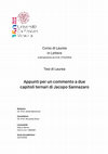 Research paper thumbnail of Appunti per un commento a due capitoli ternari di Jacopo Sannazaro