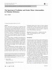 Research paper thumbnail of The Spectrum of Vestibular and Ocular Motor Abnormalities in Thiamine Deficiency