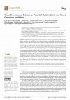 Research paper thumbnail of Some Brassicaceae Extracts as Potential Antioxidants and Green Corrosion Inhibitors