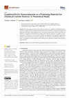 Research paper thumbnail of Graphene/Fe3O4 Nanocomposite as a Promising Material for Chemical Current Sources: A Theoretical Study