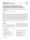 Research paper thumbnail of Peribolosporomycetes class. nov.: description of a new heat resistant and osmotolerant basidiomycete lineage, represented by Peribolospora gen. nov., P. kevripleyi sp. nov., and P. baueri sp. nov