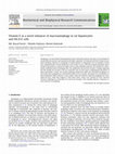 Research paper thumbnail of Vitamin E as a novel enhancer of macroautophagy in rat hepatocytes and H4-II-E cells