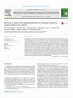 Research paper thumbnail of Diversity of amino acid signaling pathways on autophagy regulation: A novel pathway for arginine