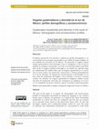 Research paper thumbnail of Hogares guatemaltecos y etnicidad en el sur de México: perfiles demográficos y socioeconómicos