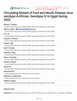 Research paper thumbnail of Circulating Mutant of Foot and Mouth Disease virus serotype A-African- Genotype IV in Egypt during 2022