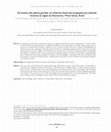 Research paper thumbnail of Na sombra das pedras grandes: as indústrias líticas das ocupações pré-coloniais recentes da região de Diamantina, Minas Gerais, Brasil