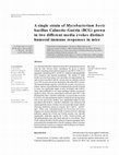 Research paper thumbnail of A single strain of Mycobacterium bovis bacillus Calmette-Guérin (BCG) grown in two different media evokes distinct humoral immune responses in mice