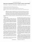 Research paper thumbnail of Depression in Schizophrenia, Can it be Treated? A Review of the Evidence