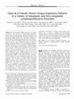 Research paper thumbnail of Class III β-Tubulin Shows Unique Expression Patterns in a Variety of Neoplastic and Non-neoplastic Lymphoproliferative Disorders