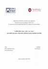 Research paper thumbnail of PhD Dissertation "I suffissi ittiti -(ā)tar, -eššar, -war (-mar): uno studio sincronico e diacronico sulla derivazione nominale eteroclita"